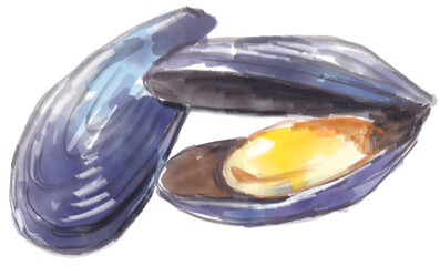 美味しそうなムール貝のリアルな水彩イラスト