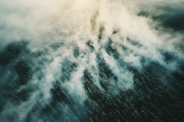 Fototapeta premium Mist rises over lush green cornfield at dawn creating a mystical atmosphere