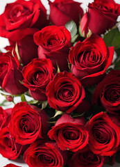 Bouquet of red roses