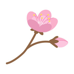 Blossoming cherry branch. Blossom of trees.