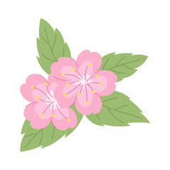 Sakura blossom with pink flowers. Vector illustration.