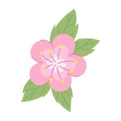 Sakura flower with leaves. Vector illustration.