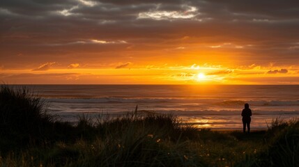 Silhouette of a person watching the sunset over the ocean.