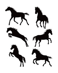 horse silhouette