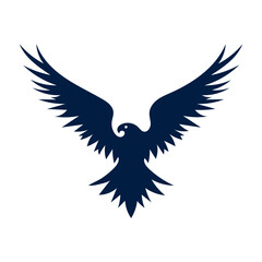 Eagle flight