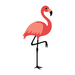 Flamingo Elegance 