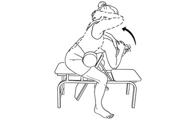 Seated Back Stretch Exercise Illustration Improve Spine Flexibility and Posture