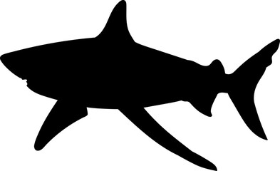 shark silhouette on white background vector