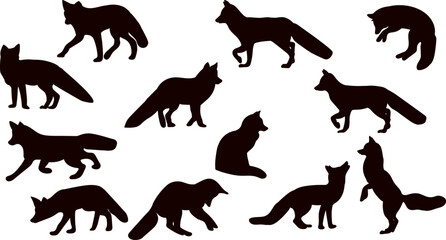 fox in different poses collection, set silhouette on white background vector