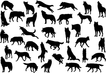 wolves in different poses collection, set silhouette on white background vector