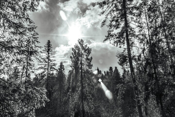 Fototapety na wymiar - Fototapeta24.pl