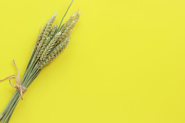 Bundle of wheat ears on yellow background, top view. Bright background with wheat ears. Harvest...