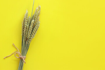 Bundle of wheat ears on yellow background, top view. Bright background with wheat ears. Harvest...