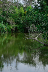 Obraz premium Beautiful landscape view of Alam Mayang Park in the afternoon, Pekanbaru, Indonesia.