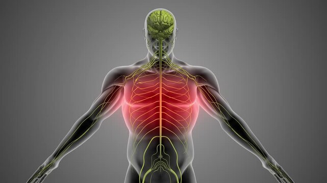 Chest Pain Caused by Guillain Barre Syndrome
