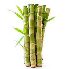 Fototapeta premium Bamboo branches isolated on a colorful background with a notion of food and vegetables, Generative AI.