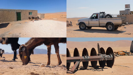 Travel to Wadi Rum desert in Jordan.  Collage of travel photos. Moon Valley. Martian desert. Sun, mountains, sand. Bedouin housing, goats, pickup car. Summer vacation in arab country. © TKalinovskaya