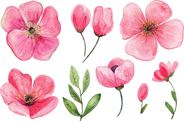 Obraz premium collage of pink flowers