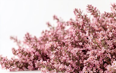 Fototapeta premium Pink flowers bouquet on white background, spring floral arrangement, wedding decoration