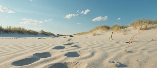 Footprints in soft sandy beach leading to grassy dunes under a clear blue sky with scattered clouds Copy Space