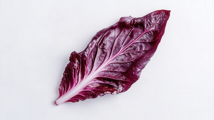 Deep Red Leaf with Rich Texture and Detail
