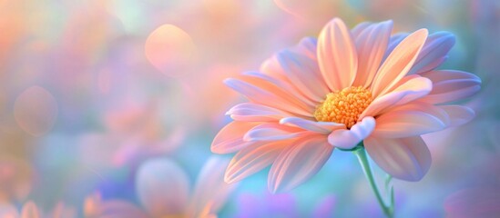 Obraz premium Soft pastel flower with detailed petals and vibrant colors on blurred background, shallow depth of field, Copy Space