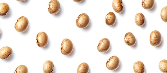 Brown speckled beans arranged on white background with ample space for text Copy Space