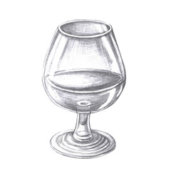 Glass of cognac in pencil. Isolated illustration in realistic style of alcoholic drink for restaurant menu design, interior decoration of drinking establishments.