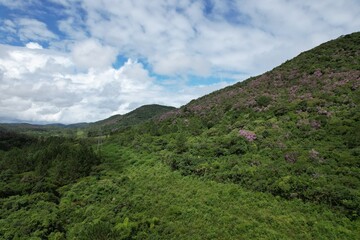 Naklejka premium A imagem aérea obtida com drone da floresta tropical no vale do Ribeira, em São Paulo, Brasil.