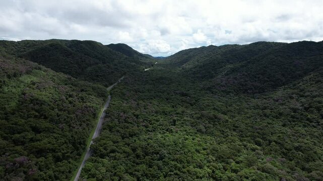 Uma estrada sinuosa em meio &agrave; floresta, no Vale do Ribeira, Estado de S&atilde;o Paulo, Brasil.