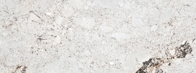 Obraz premium White and Gray Rough Marble Texture with Natural Veining Patterns