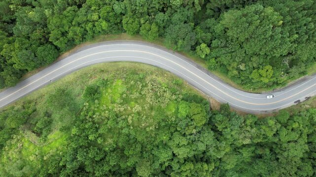 Um v&iacute;deo de ve&iacute;culos trafegando em uma estrada vicinal sinuosa em uma regi&atilde;o com floresta e silvicultura de pinus, em imagem a&eacute;rea obtida com uso de drone, no Vale do Ribeira, em S&atilde;o Paulo, Brasil