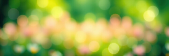 Obraz premium Beautiful garden with vibrant flowers and glowing sunlight creating a serene atmosphere in spring