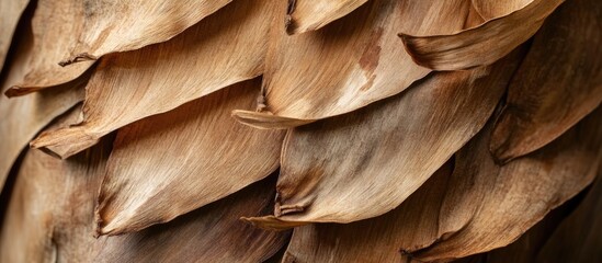 Naklejka premium Close-up of overlapping dry brown leaves with natural texture and patterns