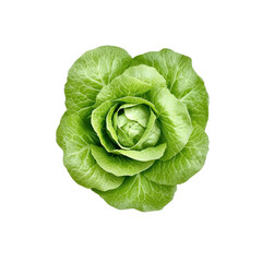 Obraz premium Fresh green lettuce with intricate leaves, perfect for healthy recipes and salads.