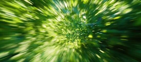 Obraz premium Zoom Blur Effect on Green Foliage with Radial Motion and Sunlight Highlights