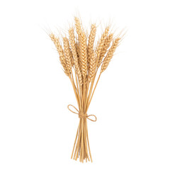 A beautiful bouquet of golden wheat sheaves tied with a rustic bow.