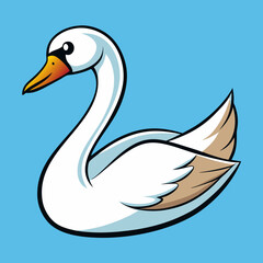 Swan vector illustration 