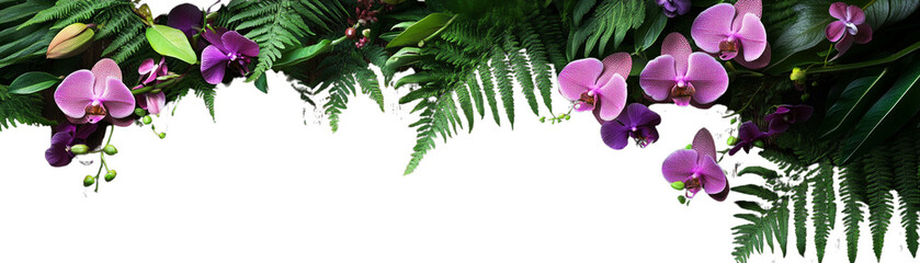 Vibrant orchid flowers surrounded by lush green foliage.