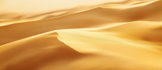 Fototapeta premium Golden Desert Sand Dunes with Flowing Curves and Sunlit Highlights