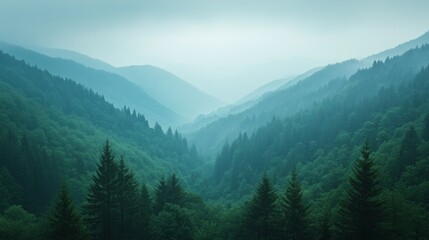 Obraz premium Misty Blue Mountains and Green Forest Valley Landscape