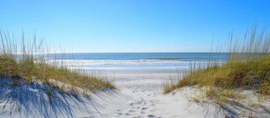 Pathway through sand dunes leading to sunny beach with clear blue sky and ocean.