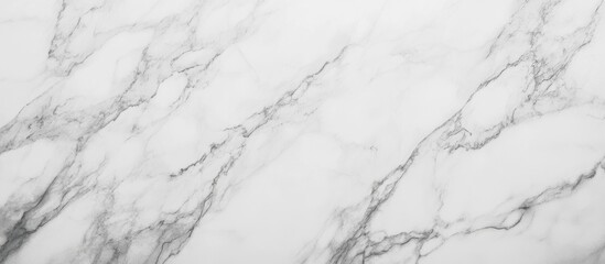 Obraz premium White marble texture with gray veining pattern filling the frame