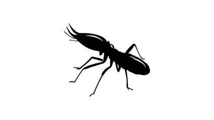 termite symbol, black isolated silhouette
