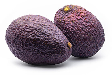 Hass avocado fruit (Persea americana Cv. Hass), Lauraceae. Fruit tree, evergreen. variety of avocado.