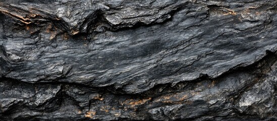 Dark textured bark of tree with layered surface pattern and natural rugged detail
