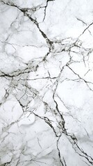 A stunning white marble surface showcases elegant black veins, creating a beautiful texture ideal for countertops, tiles, and artistic installations in modern spaces