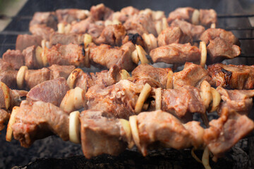 Juicy barbecue is grilled on a summer afternoon