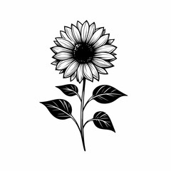 Pen and Ink Sunflower