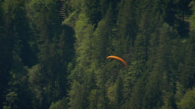 Vol d'un parapente avec une voile orange &eacute;voluant au dessus d'une for&ecirc;t de sapin en montagne en &eacute;t&eacute;